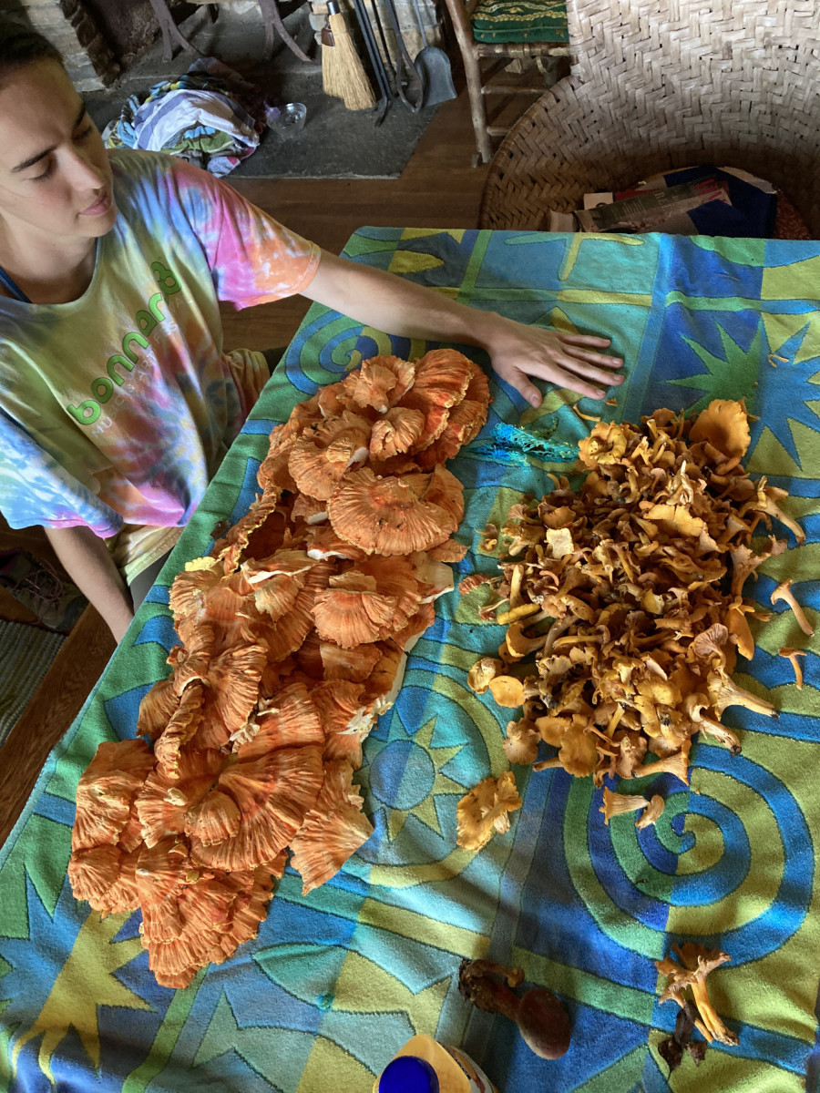The author spends part of her quarantine arranging mushrooms on a table.